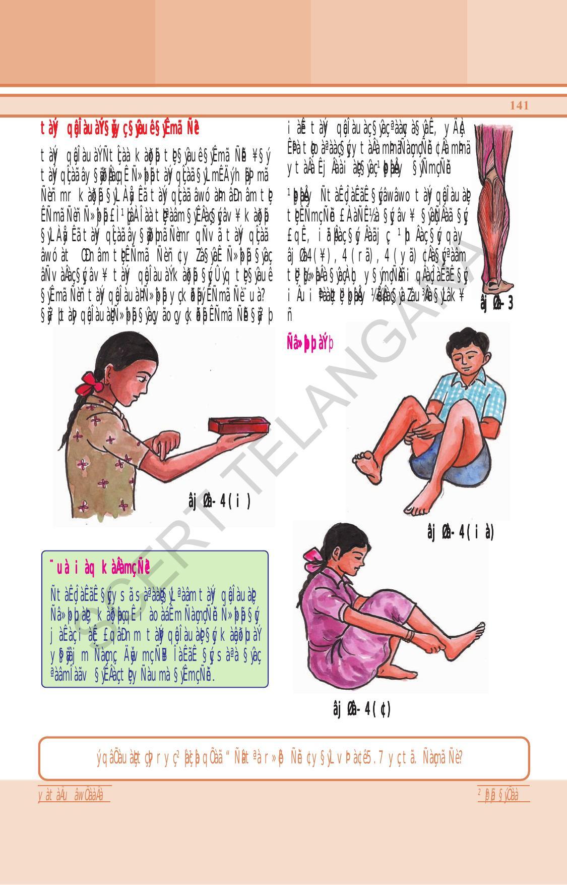 TS SCERT Class 6 General Science (Hindi Medium) Text Book - Page 155