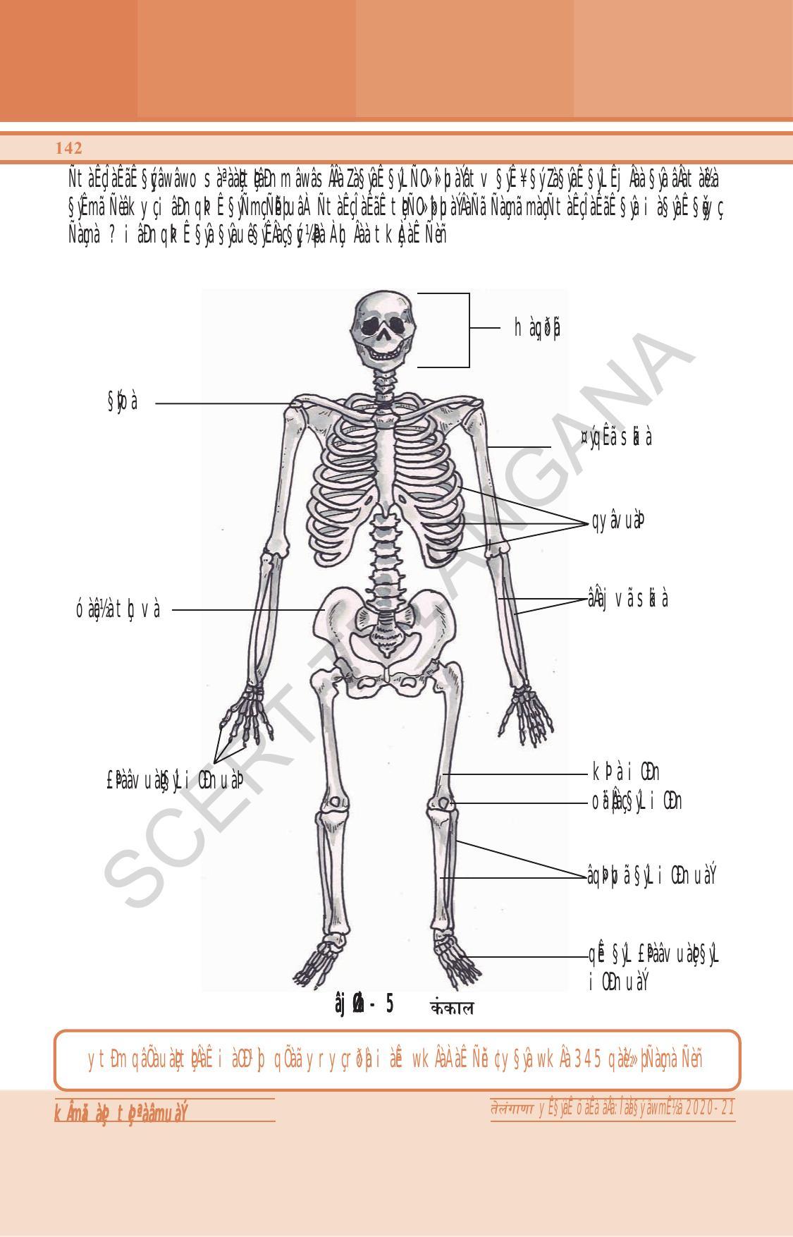 TS SCERT Class 6 General Science (Hindi Medium) Text Book - Page 156
