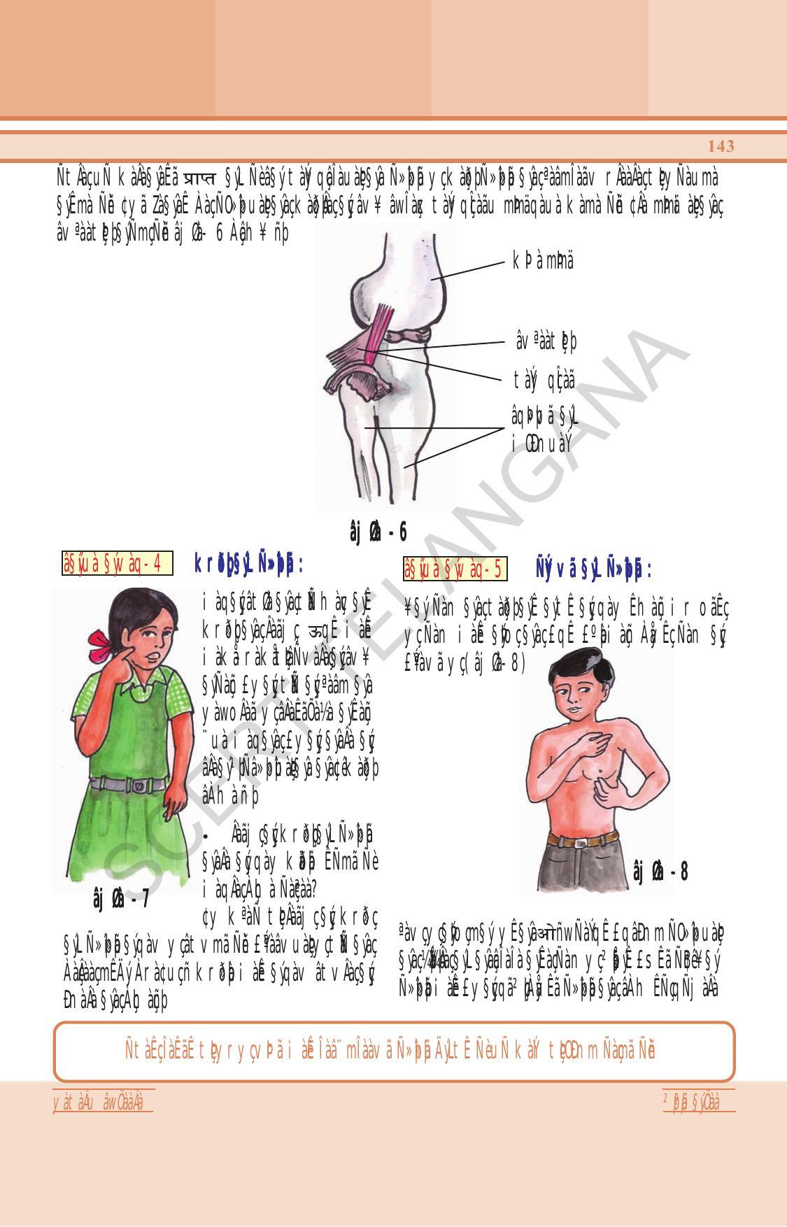 TS SCERT Class 6 General Science (Hindi Medium) Text Book - Page 157