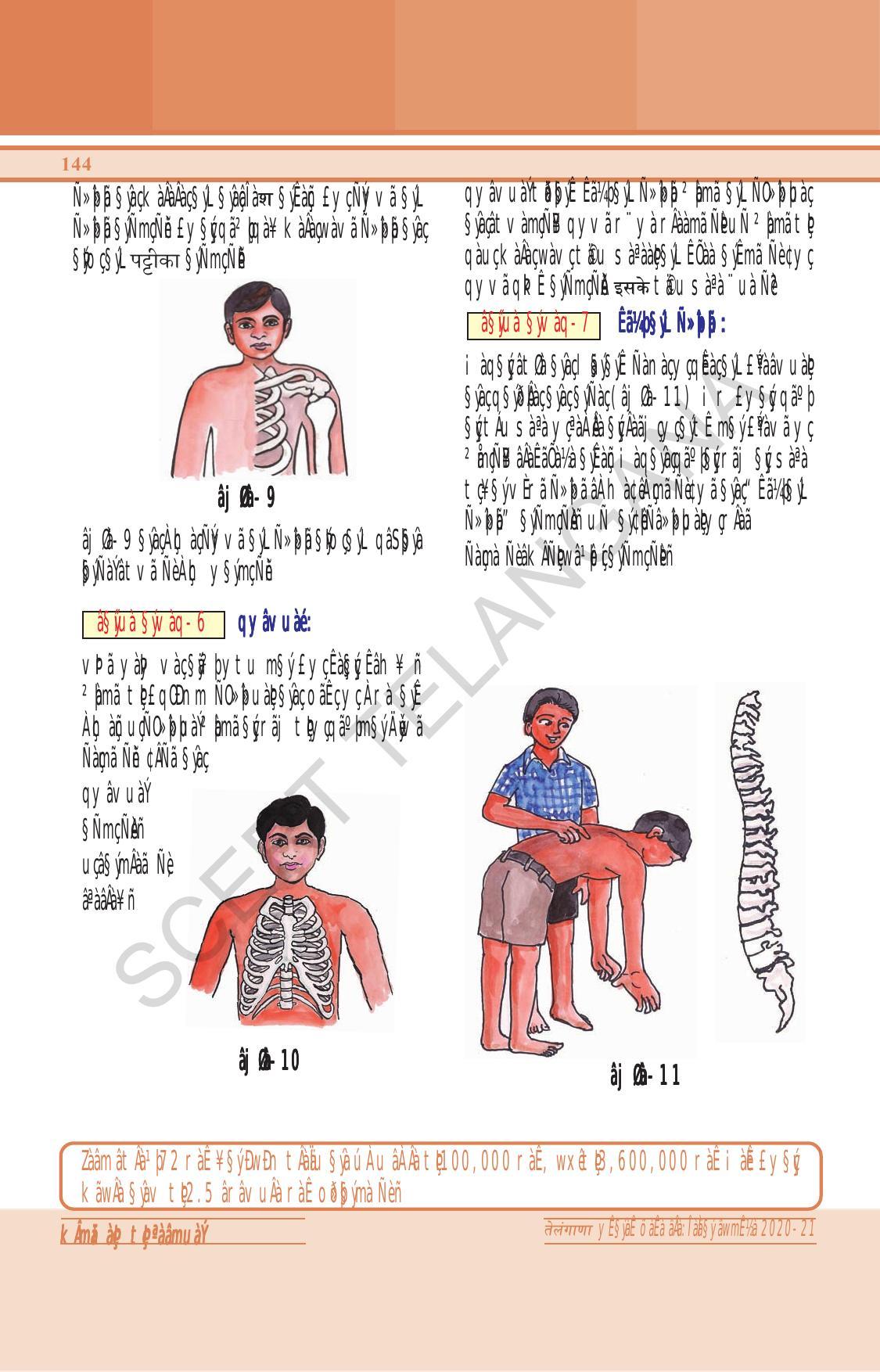 TS SCERT Class 6 General Science (Hindi Medium) Text Book - Page 158