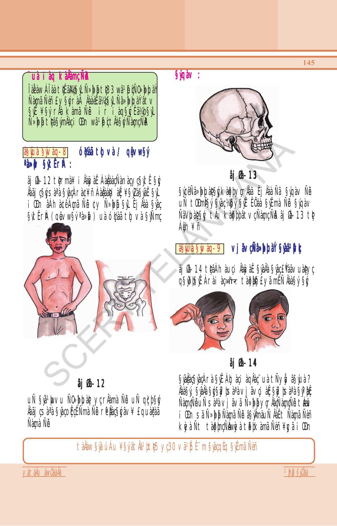 TS SCERT Class 6 General Science (Hindi Medium) Text Book - Page 159