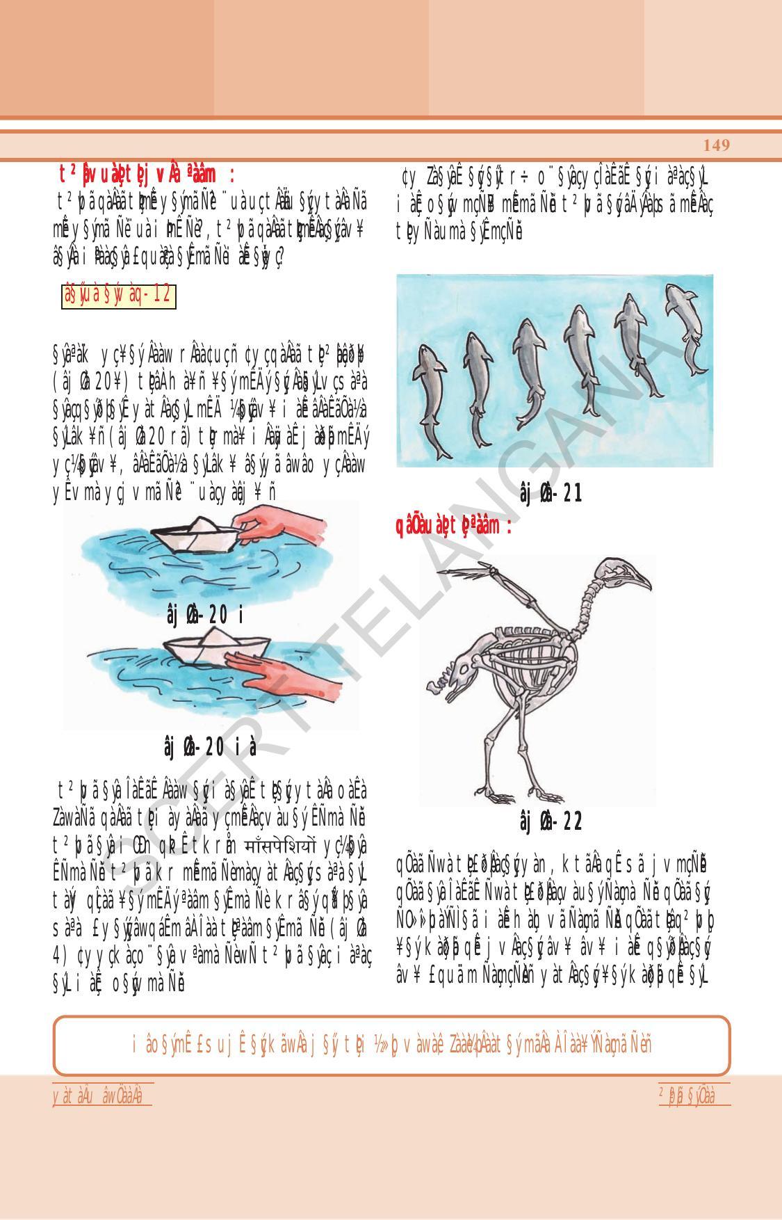 TS SCERT Class 6 General Science (Hindi Medium) Text Book - Page 163