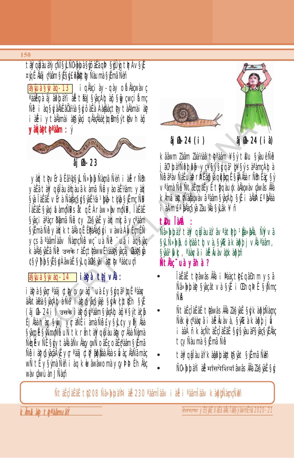TS SCERT Class 6 General Science (Hindi Medium) Text Book - Page 164