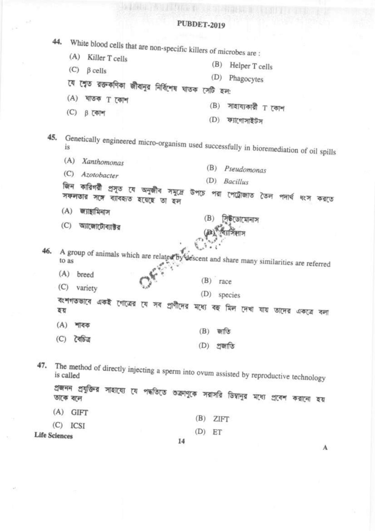 PUBDET 2019 Life Sciences Question Paper - Page 13