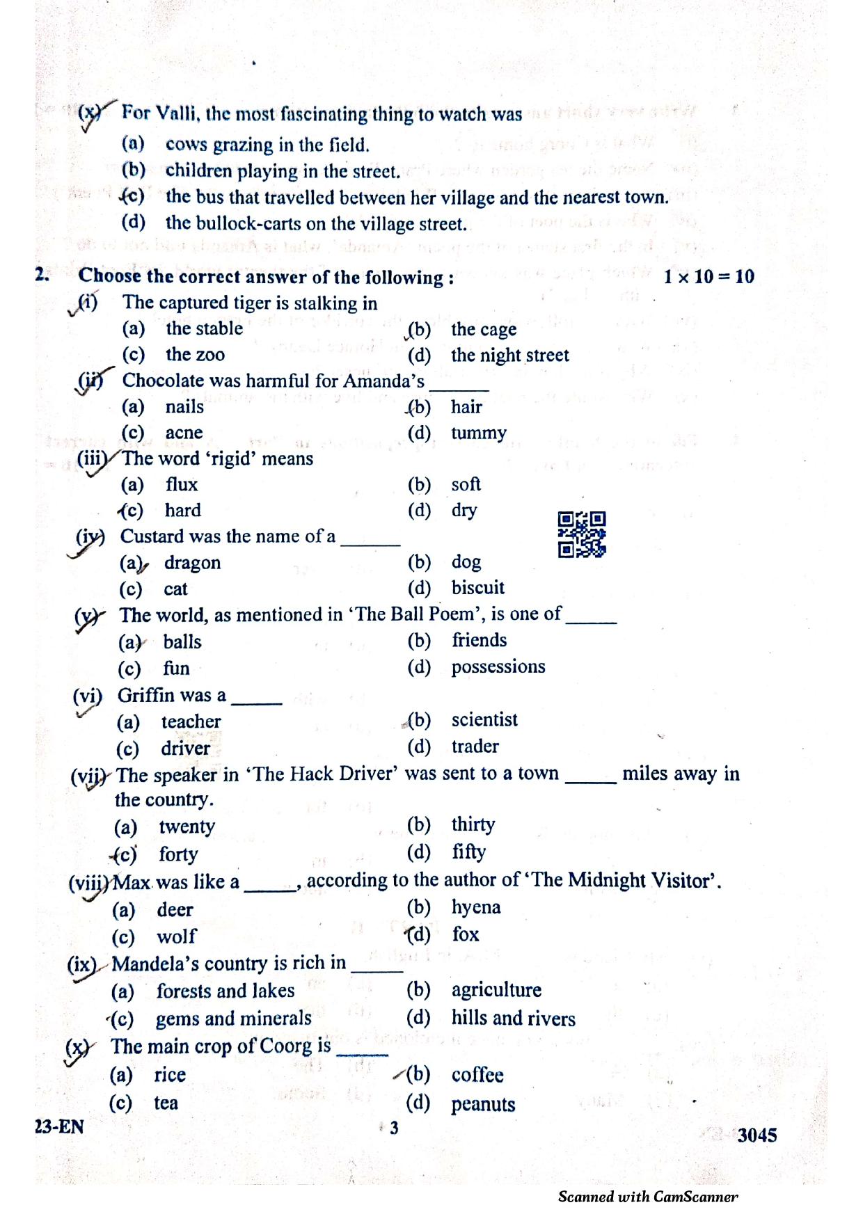 SEBA HSLC English Question Paper 2023 - Page 3