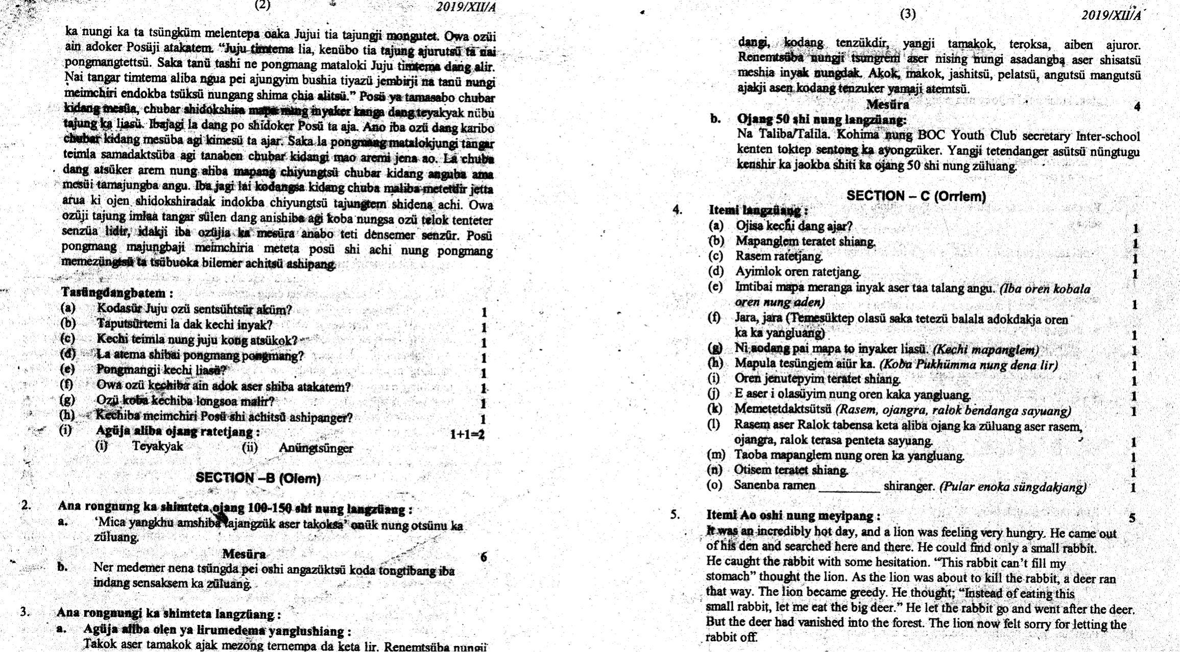 Nagaland Board Class 12 AO 2019 Question Papers - Page 2