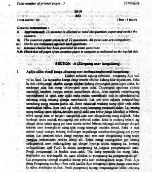 Nagaland Board Class 12 AO 2019 Question Papers