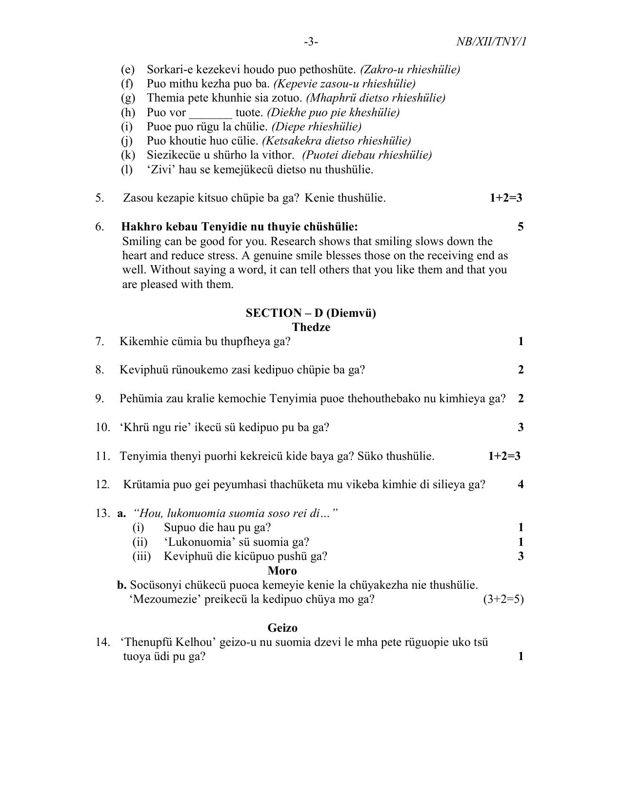 Nagaland Board Class 12 Tenyidie 2021 Question Paper - Page 3
