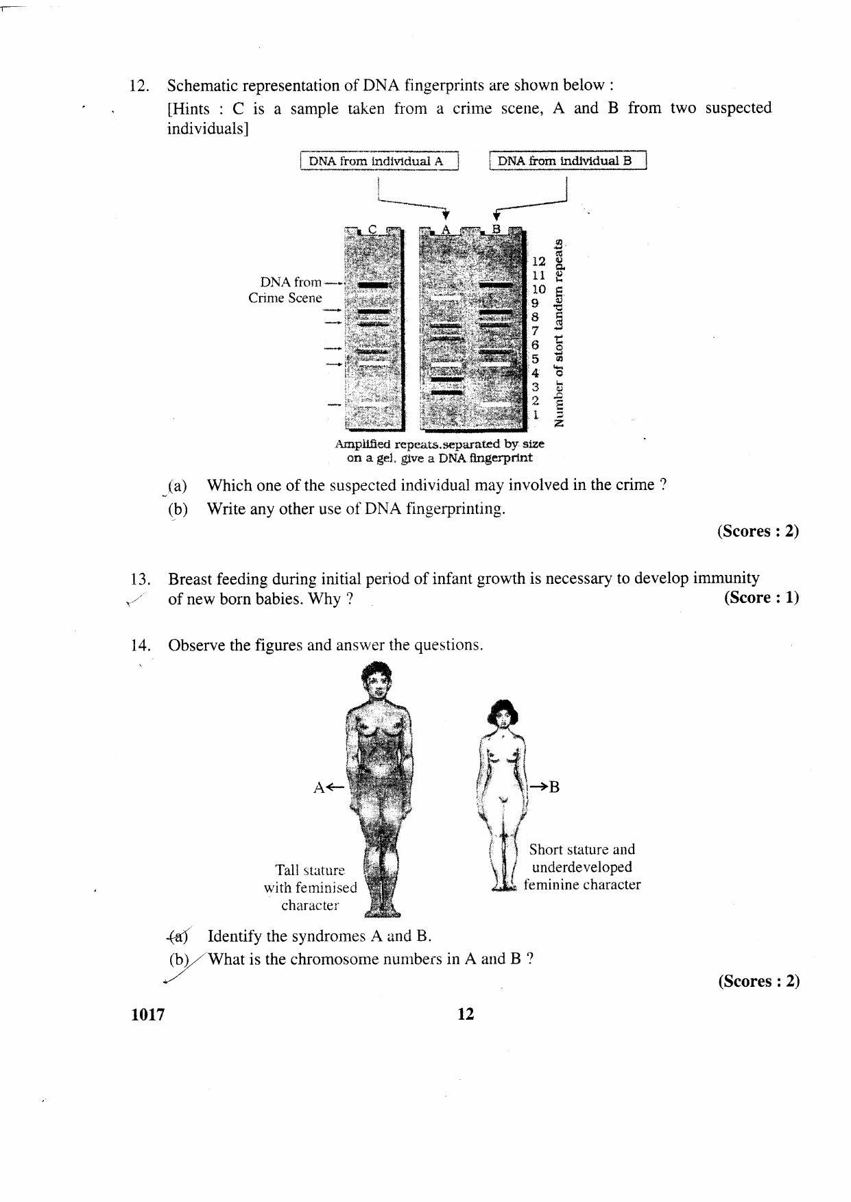Kerala Plus Two 2016 Biology Question Paper - Page 7