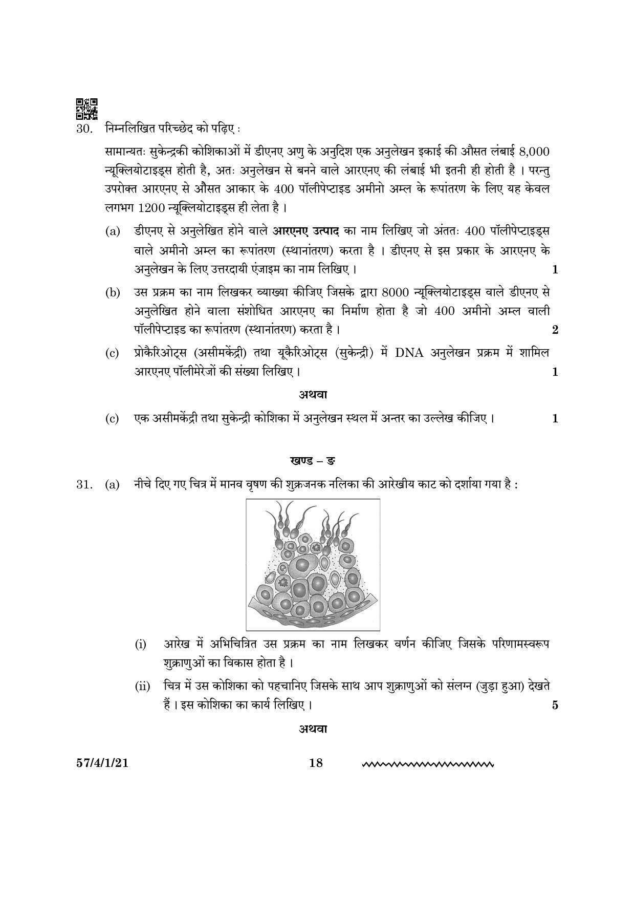 CBSE Class 12 57 4 1 Biology 2024 Question Paper - Page 18