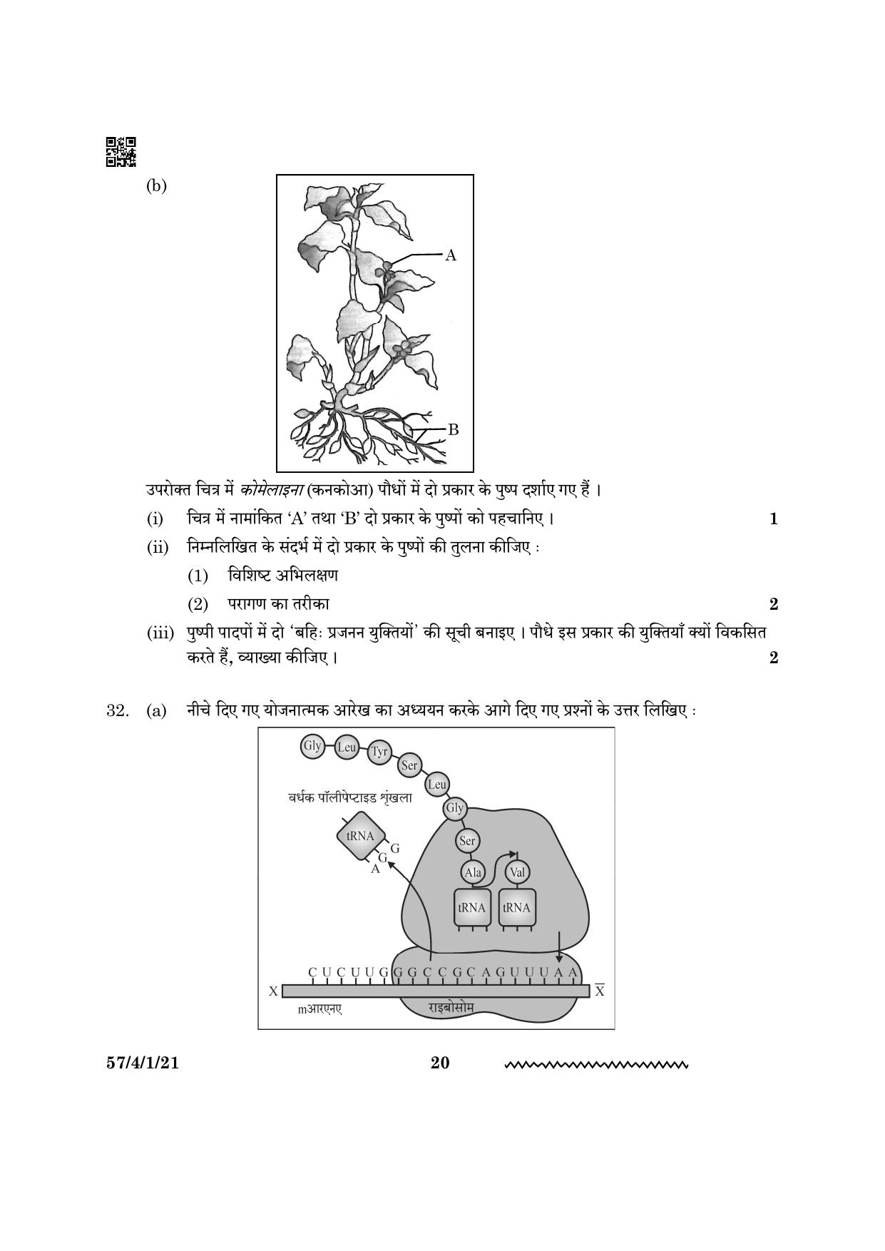 CBSE Class 12 57 4 1 Biology 2024 Question Paper - Page 20