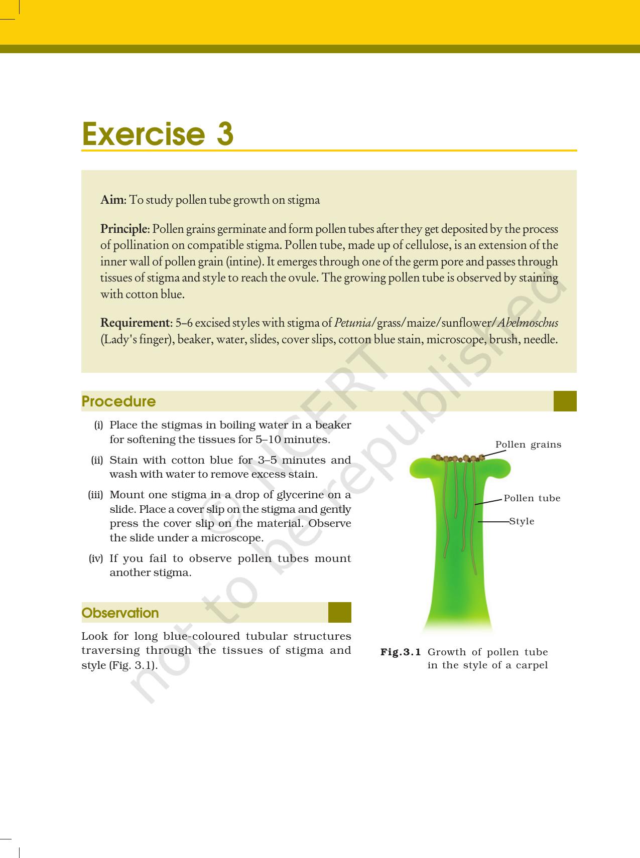 NCERT Laboratory Manuals for Class XII Biology - Exercise 2 & 3 - Page 3