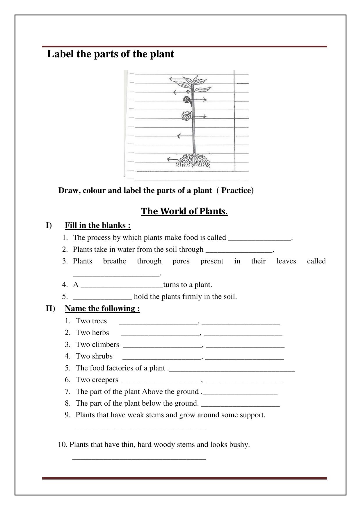 Worksheet for Class 3 Social Science Assignment 10 - Page 5
