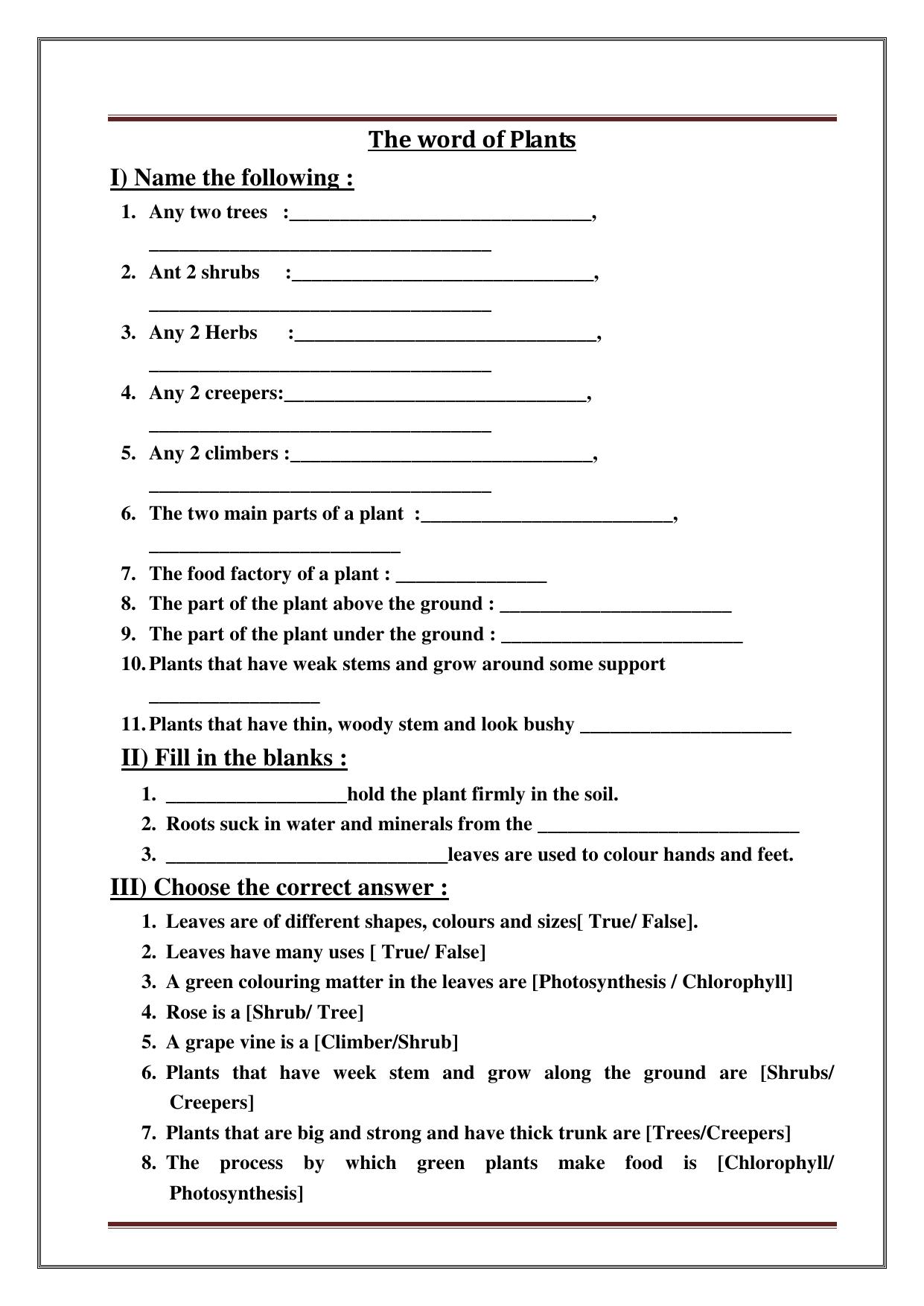 Worksheet for Class 3 Social Science Assignment 10 - Page 7