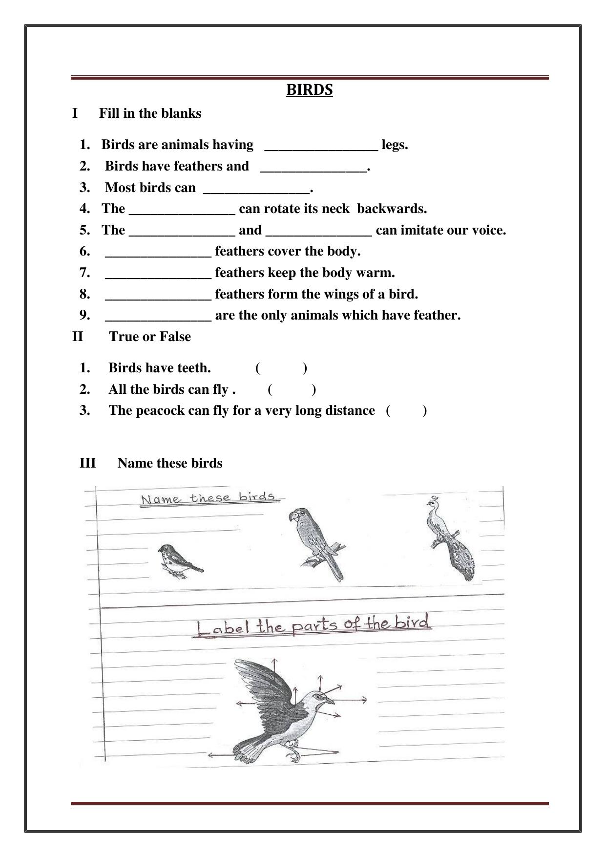 Worksheet for Class 3 Social Science Assignment 10 - Page 8