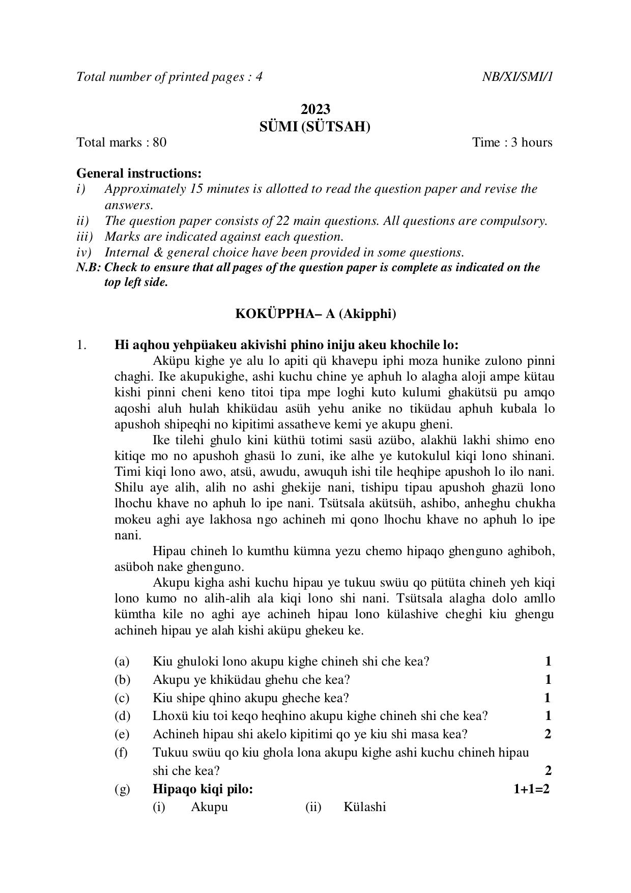 Nagaland Board NBSE 2023 Class 11 Question Paper (All Subjects) - Page 48