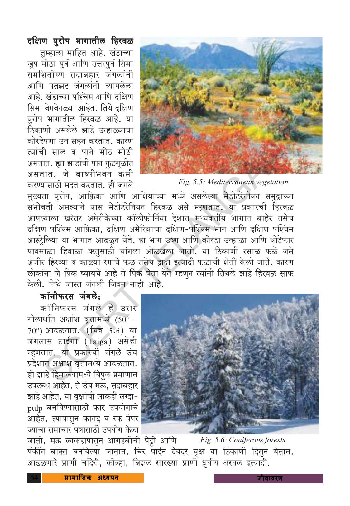 TS SCERT Class 9 Social Science (Marathi Medium) Text Book - Page 66