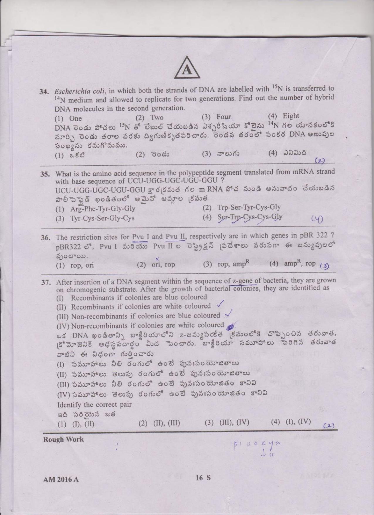 TS EAMCET 2016 Question Paper - Medical & Agriculture - Page 16