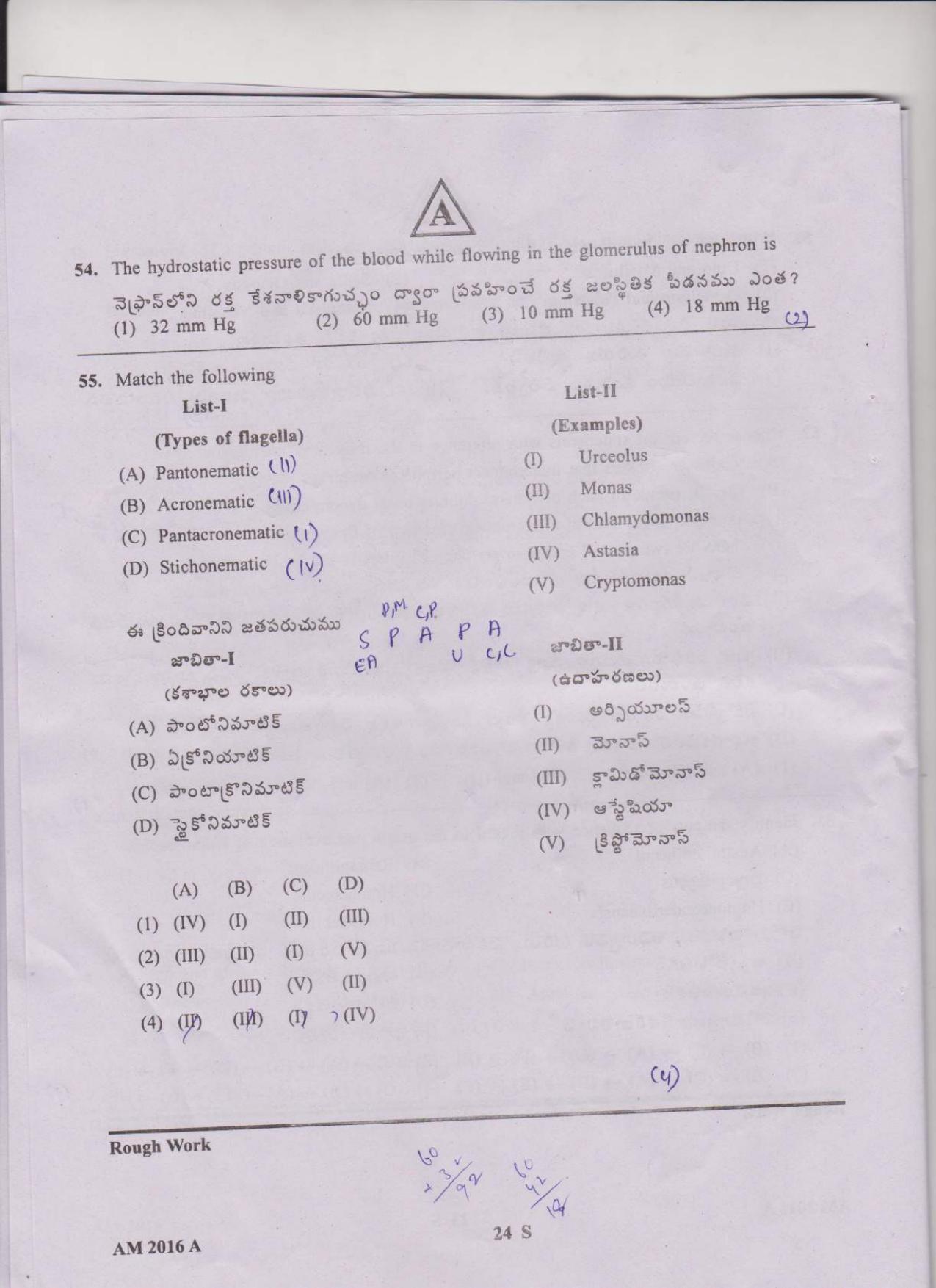 TS EAMCET 2016 Question Paper - Medical & Agriculture - Page 24