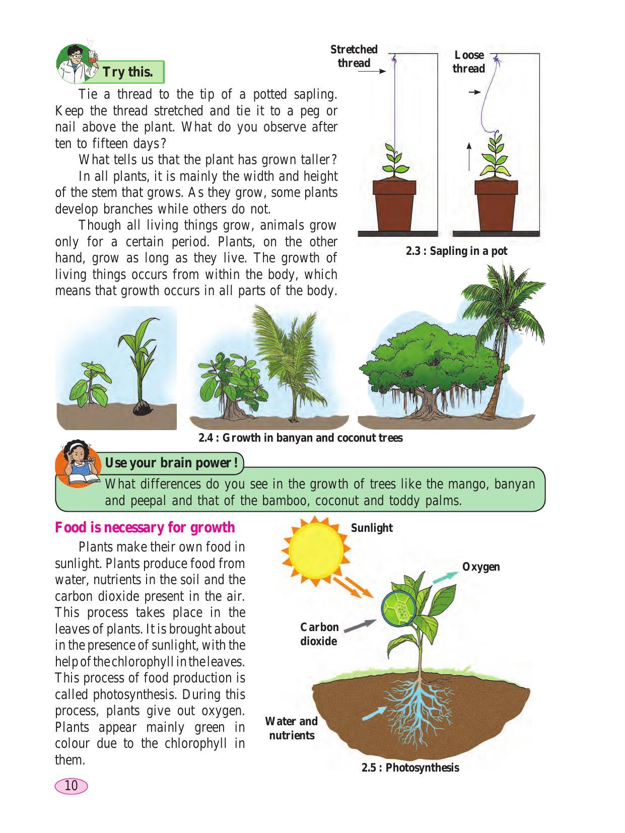 Maharashtra Board Class 6 Science Textbook - Page 20