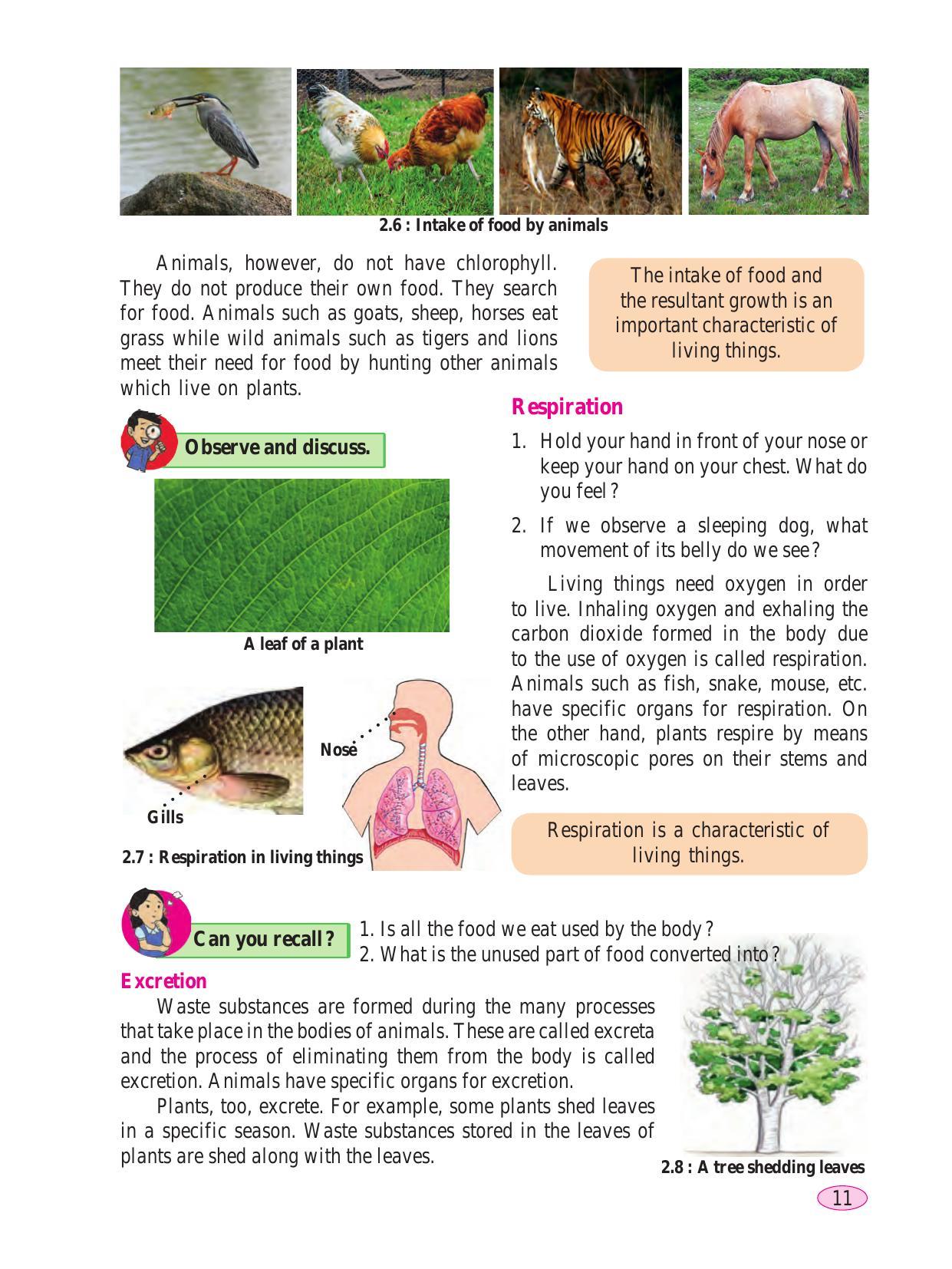 Maharashtra Board Class 6 Science Textbook - Page 21