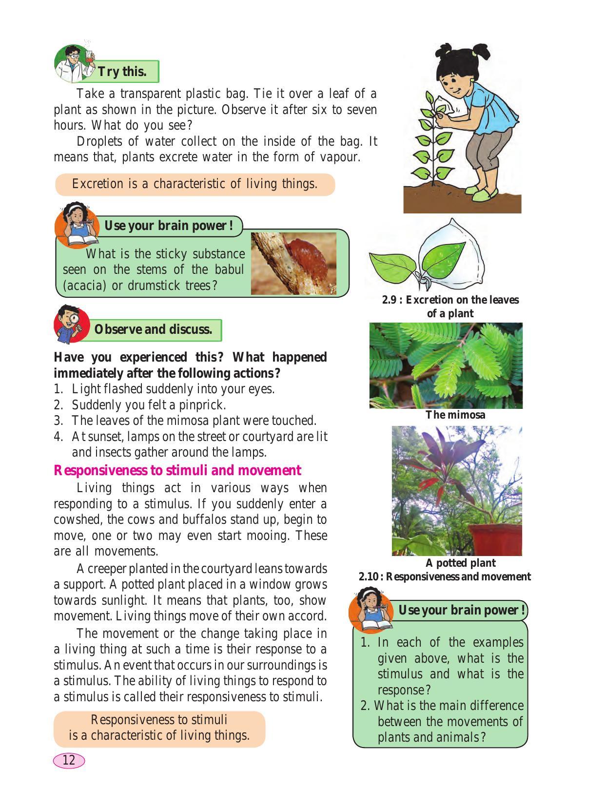 Maharashtra Board Class 6 Science Textbook - Page 22