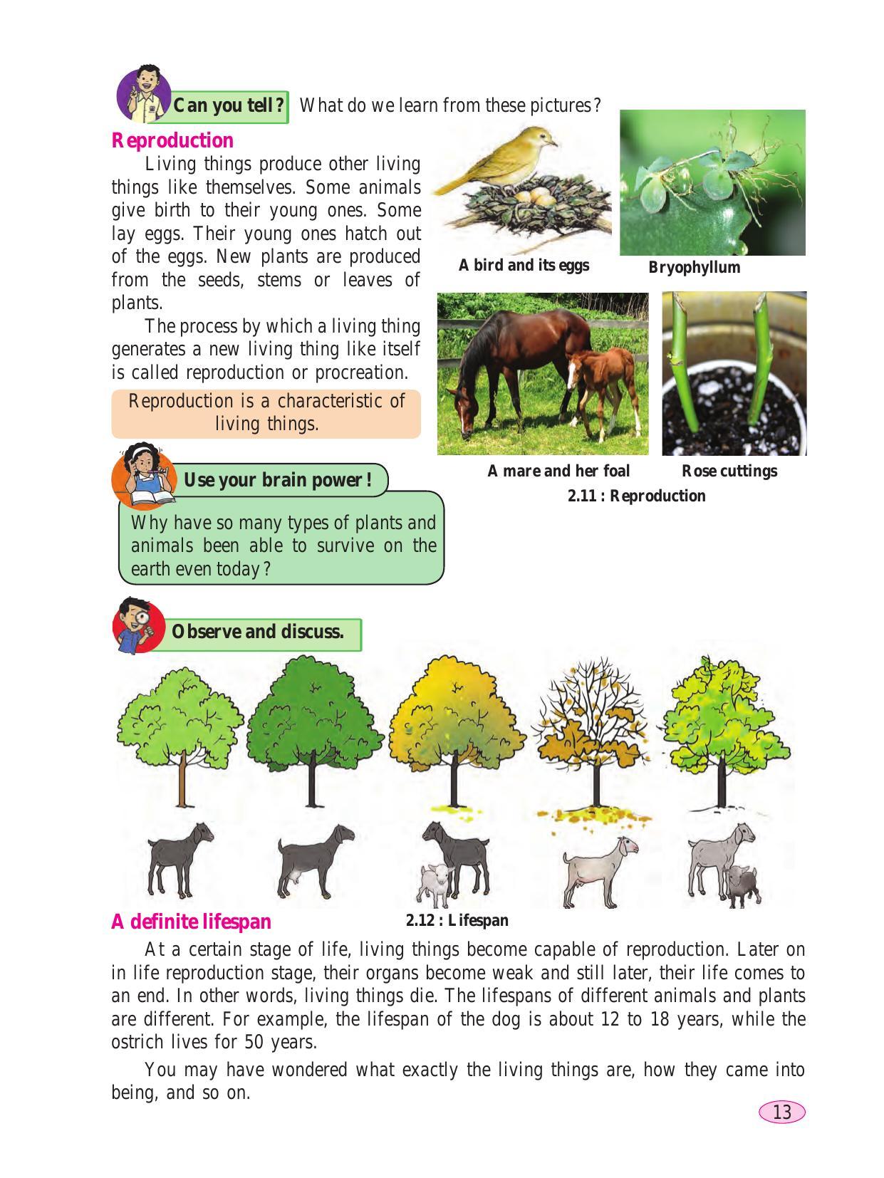 Maharashtra Board Class 6 Science Textbook - Page 23