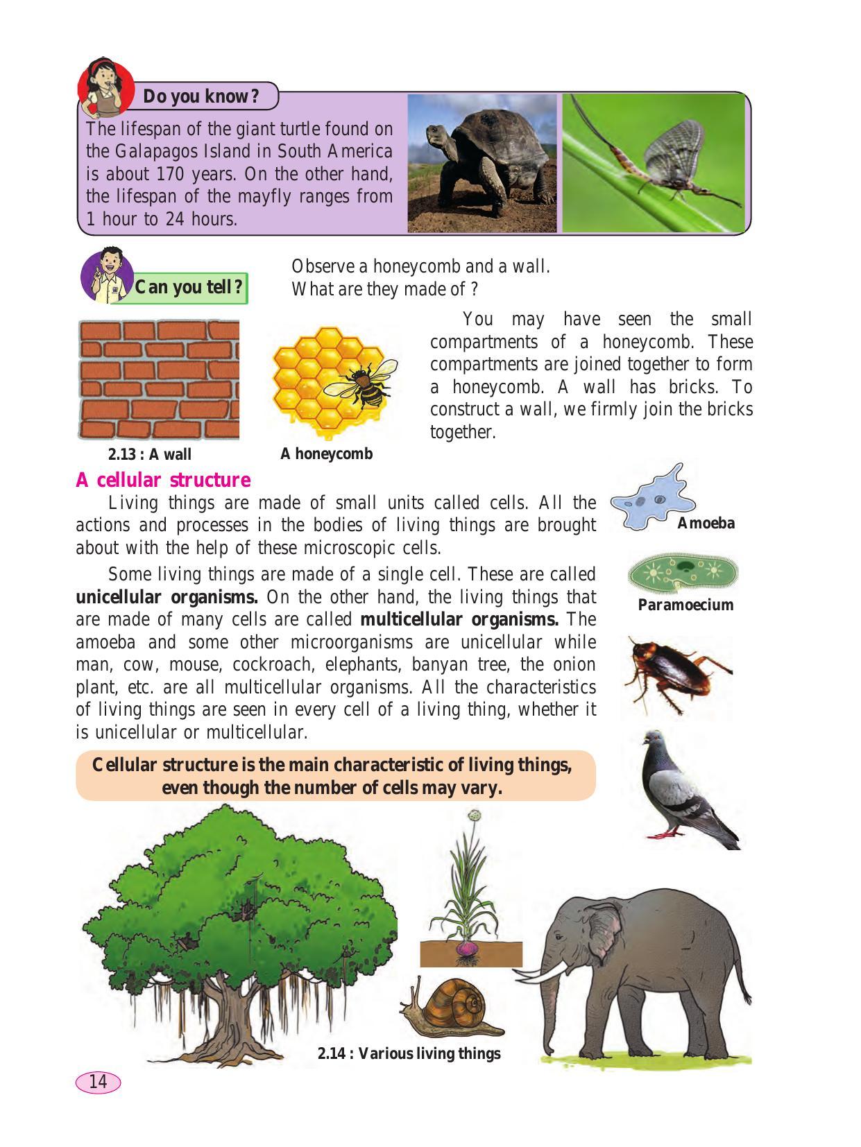 Maharashtra Board Class 6 Science Textbook - Page 24