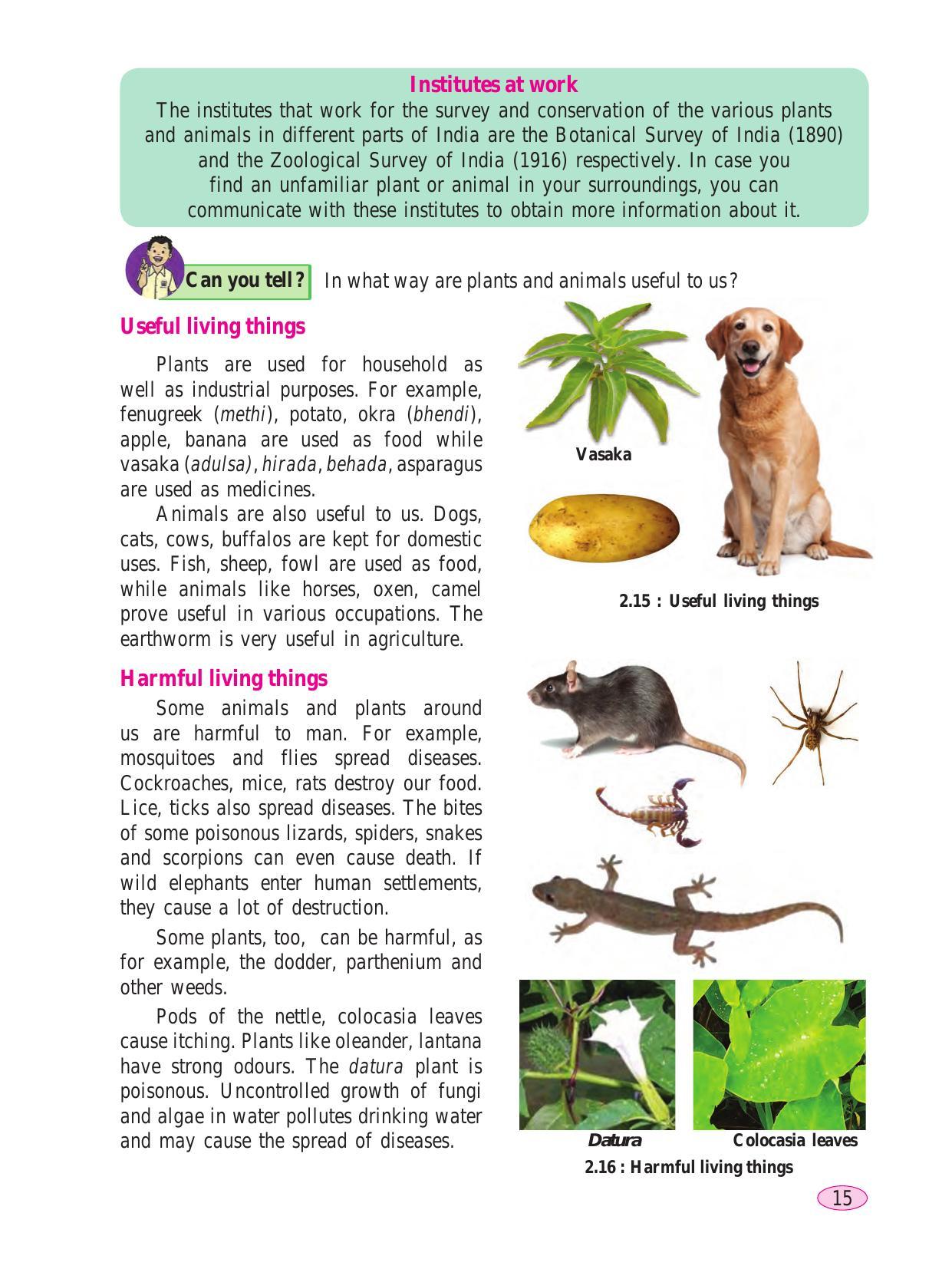 Maharashtra Board Class 6 Science Textbook - Page 25