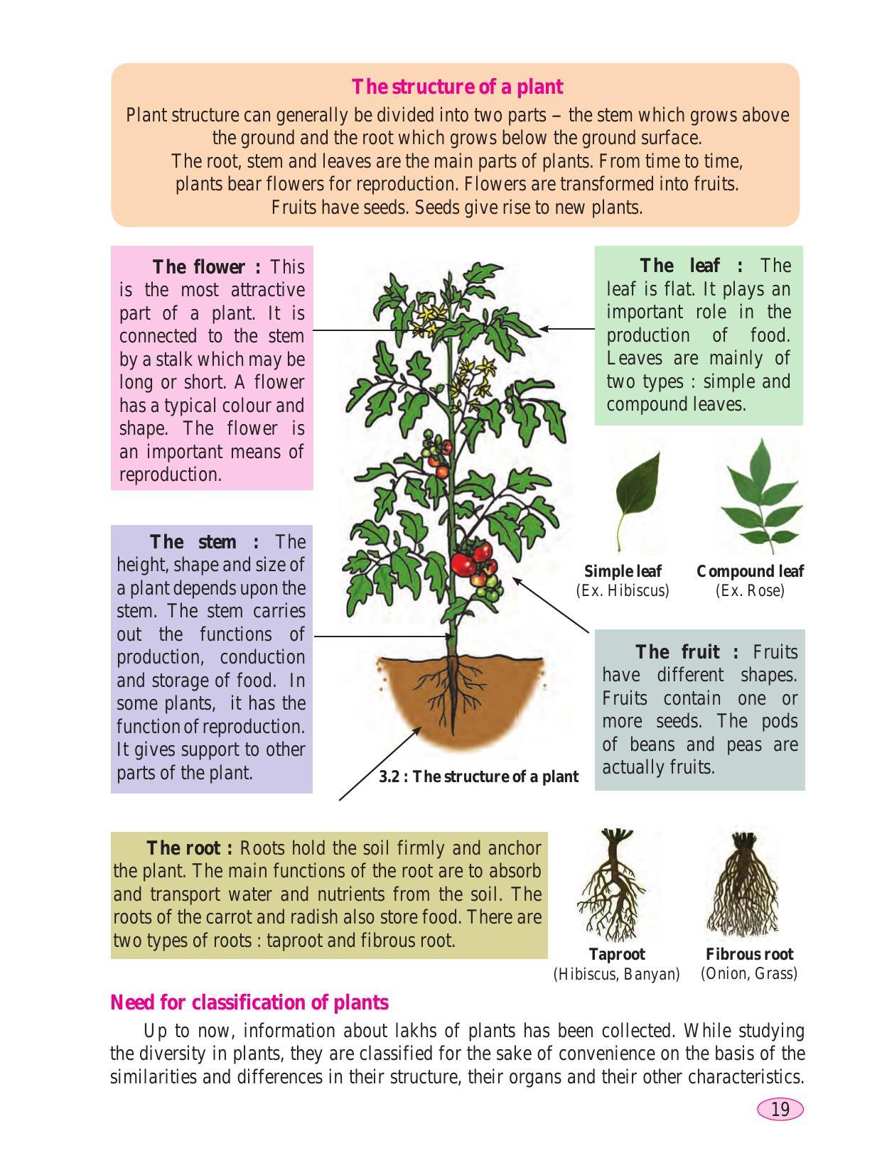 Maharashtra Board Class 6 Science Textbook - Page 29