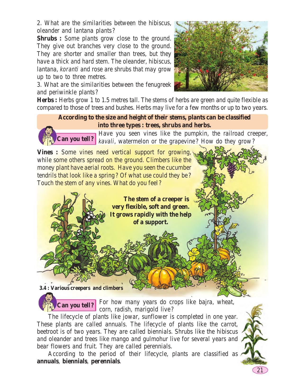 Maharashtra Board Class 6 Science Textbook - Page 31