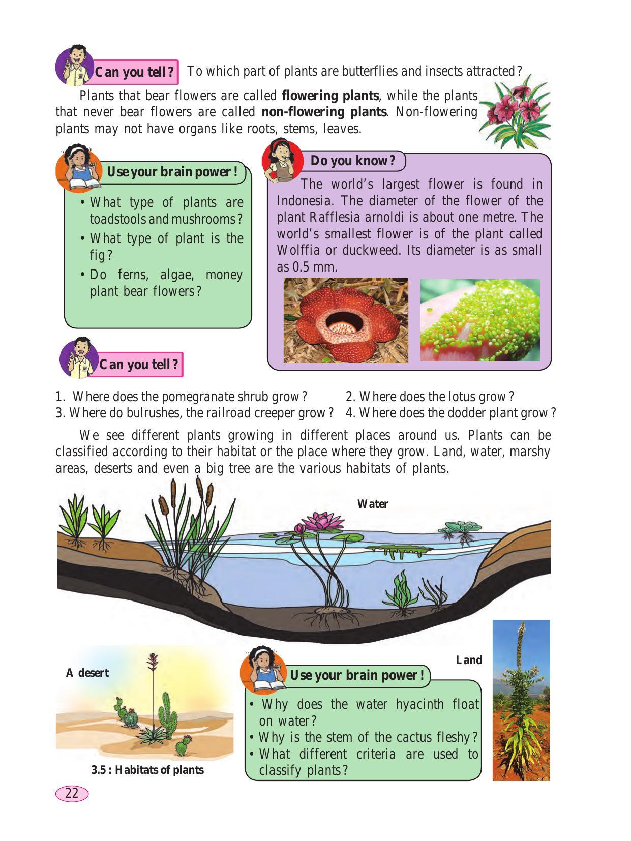 Maharashtra Board Class 6 Science Textbook - Page 32