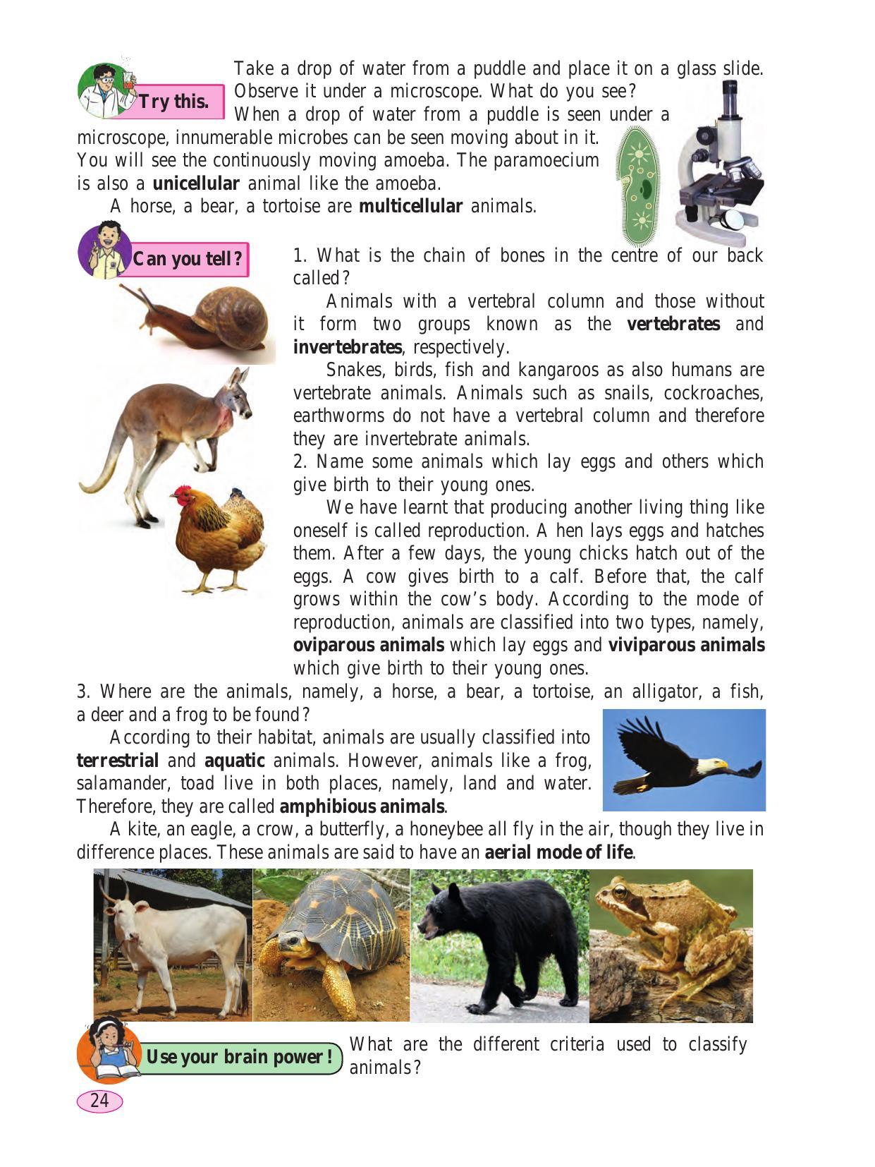 Maharashtra Board Class 6 Science Textbook - Page 34