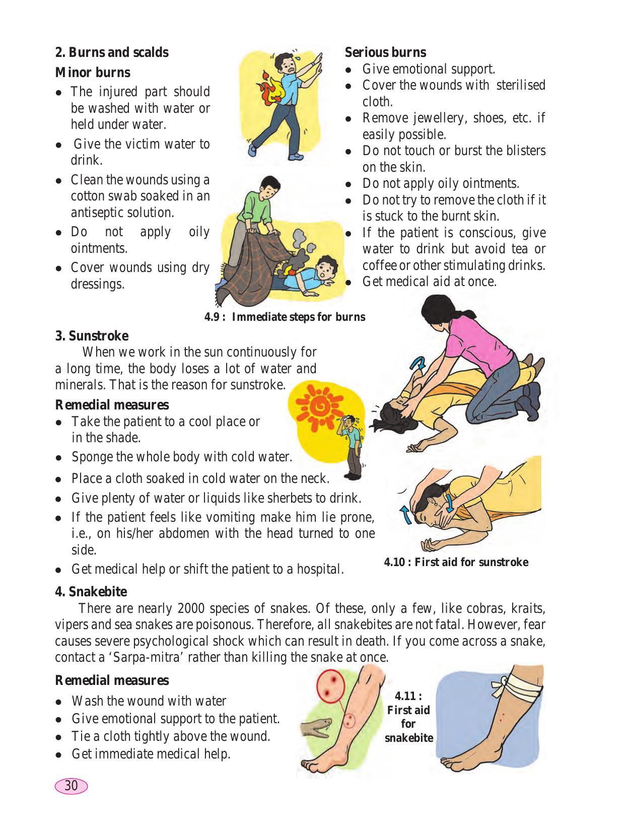 Maharashtra Board Class 6 Science Textbook - Page 40