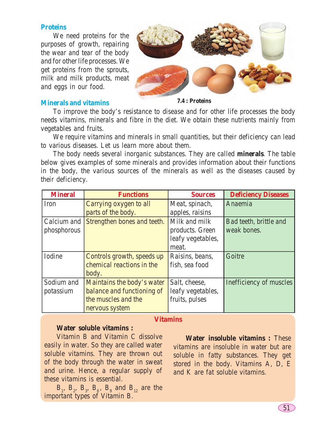 Maharashtra Board Class 6 Science Textbook - Page 61