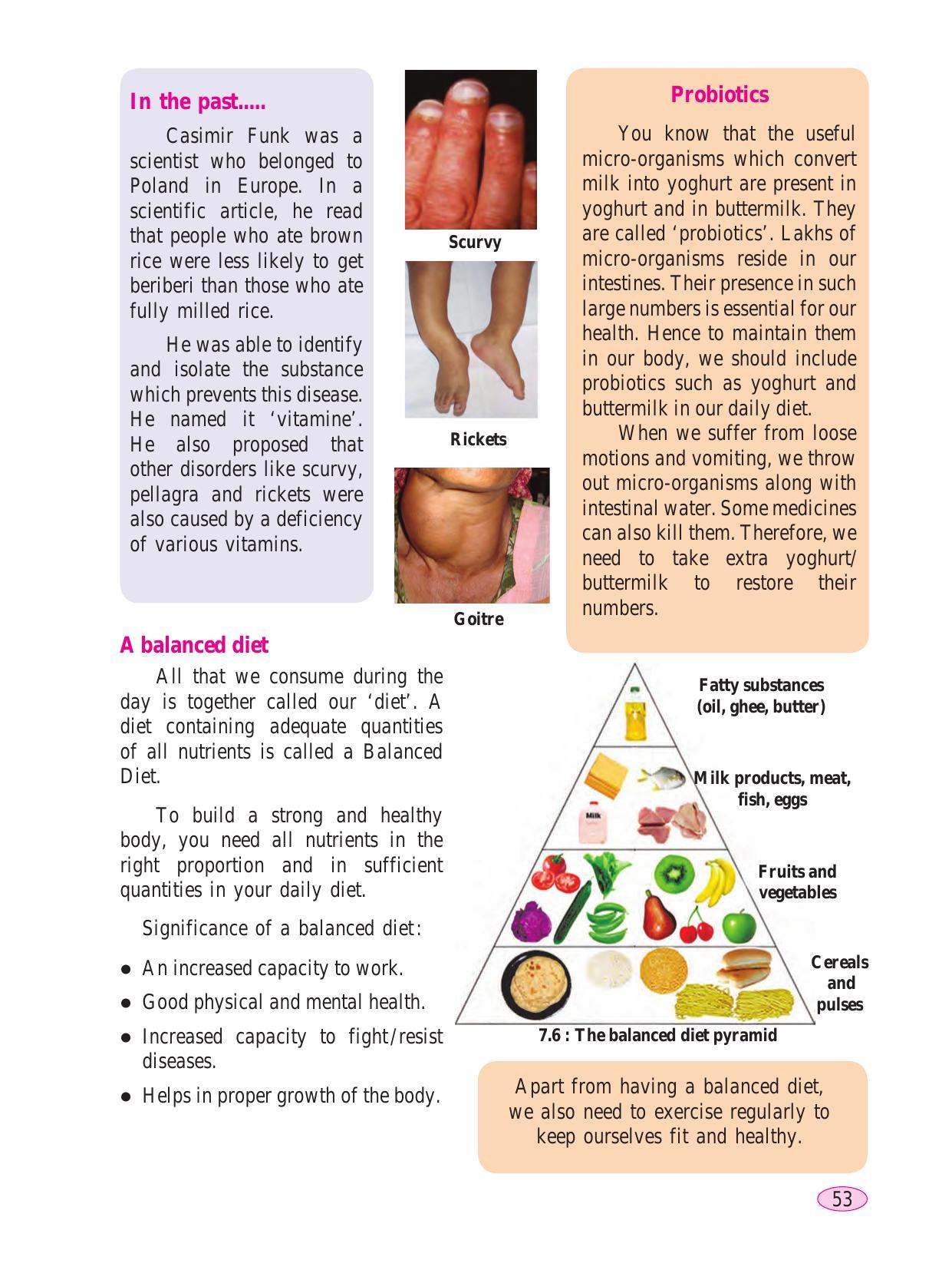 Maharashtra Board Class 6 Science Textbook - Page 63