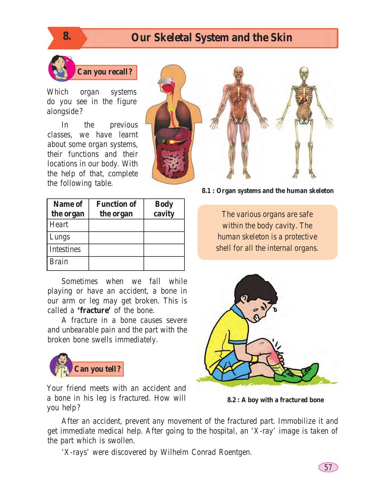 Maharashtra Board Class 6 Science Textbook - Page 67