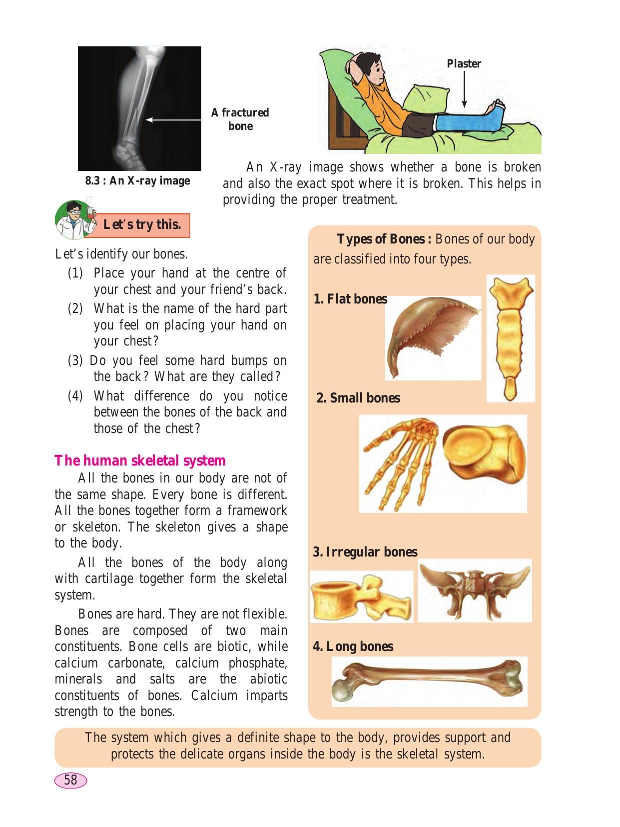 Maharashtra Board Class 6 Science Textbook - Page 68