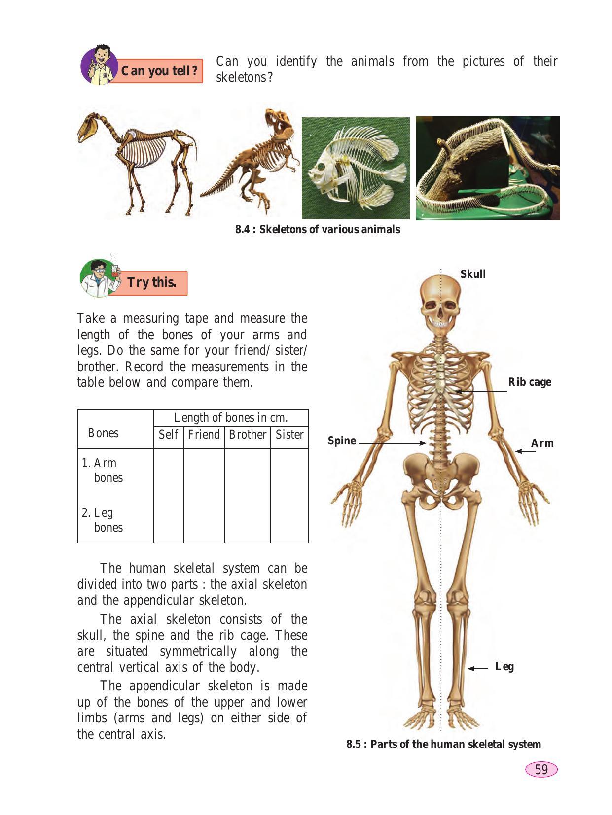 Maharashtra Board Class 6 Science Textbook - Page 69