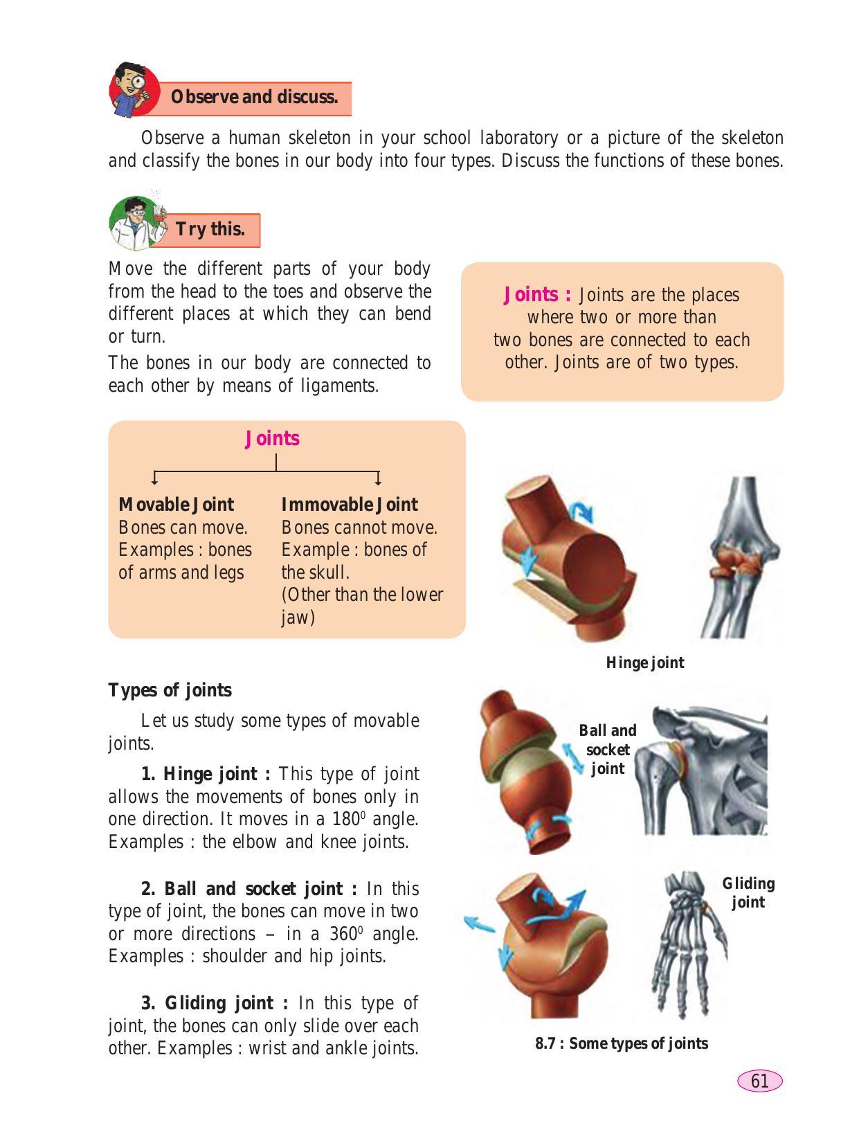 Maharashtra Board Class 6 Science Textbook - Page 71