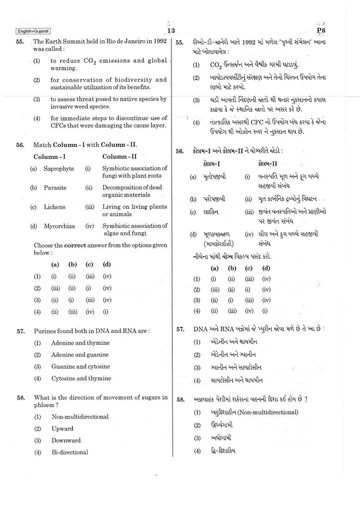NEET P6 2019 Question Paper - Page 13
