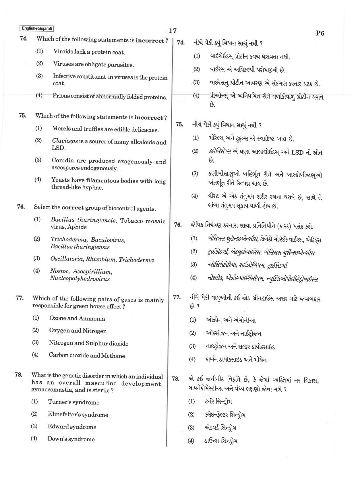 NEET P6 2019 Question Paper - Page 17
