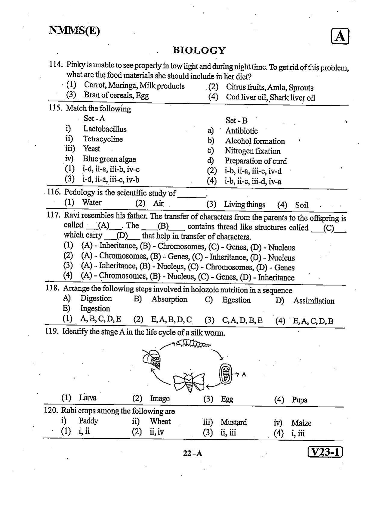 NMMS Question Papers FEBRUARY 2023 (English Medium) - Page 22