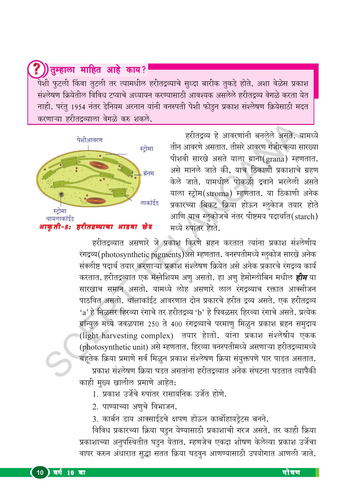 TS SCERT Class 10 Biological Science (Marathi Medium) Text Book - Page 22