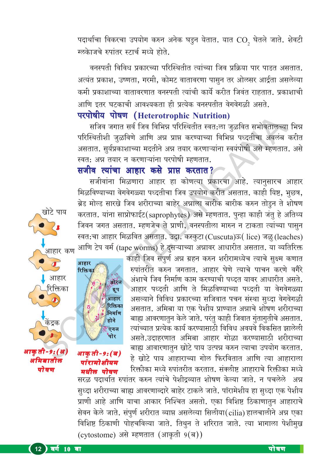 TS SCERT Class 10 Biological Science (Marathi Medium) Text Book - Page 24