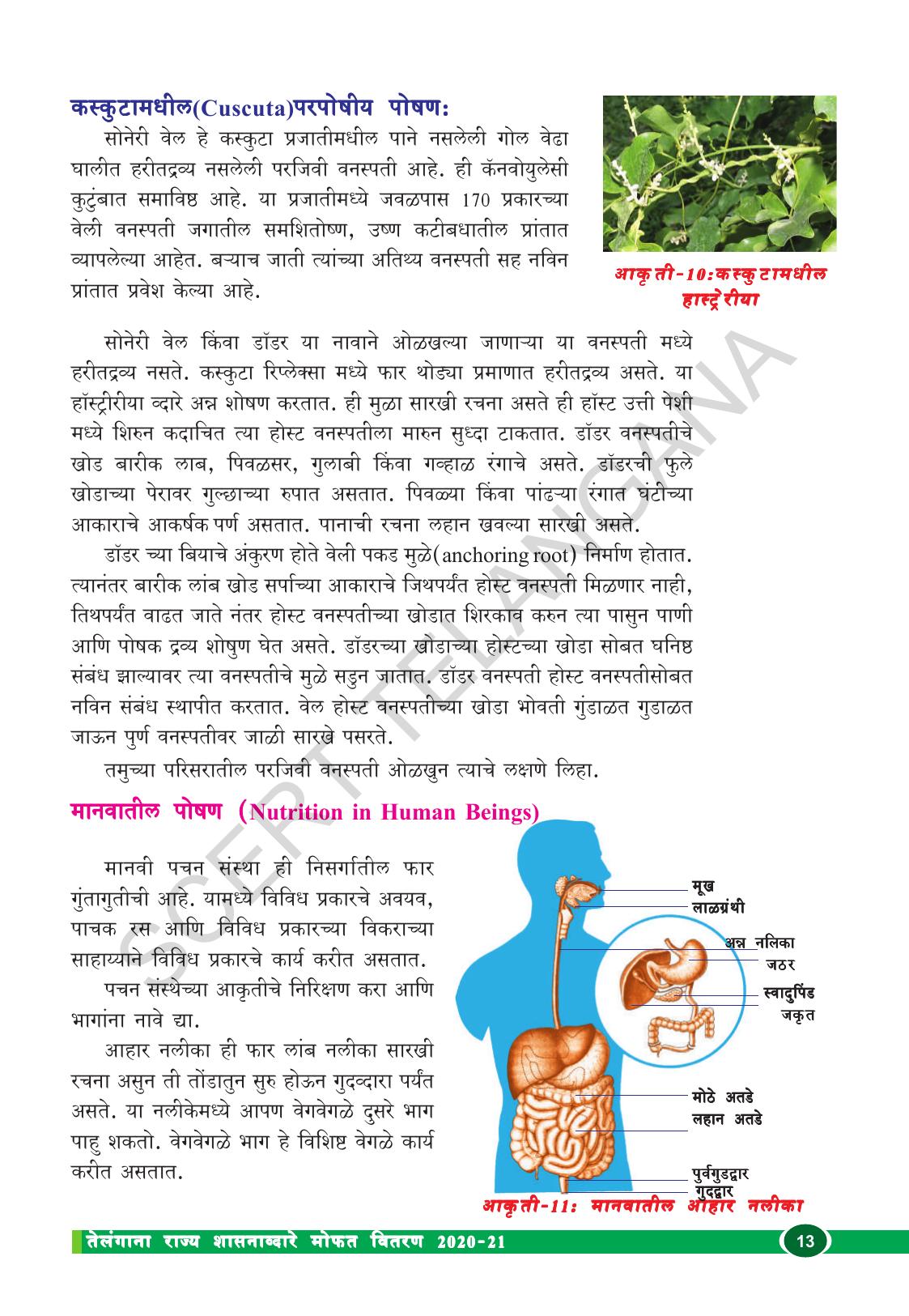 TS SCERT Class 10 Biological Science (Marathi Medium) Text Book - Page 25