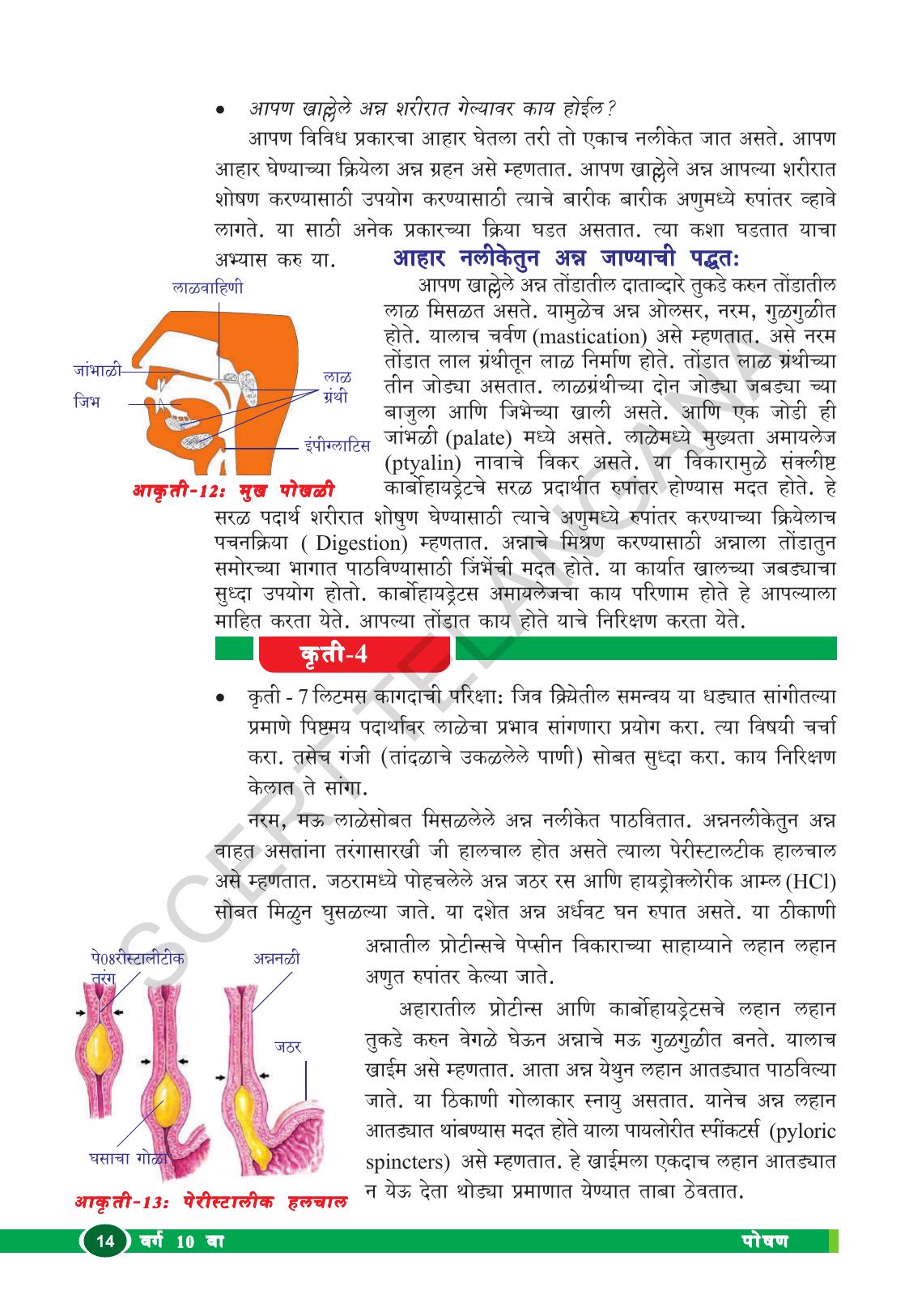 TS SCERT Class 10 Biological Science (Marathi Medium) Text Book - Page 26
