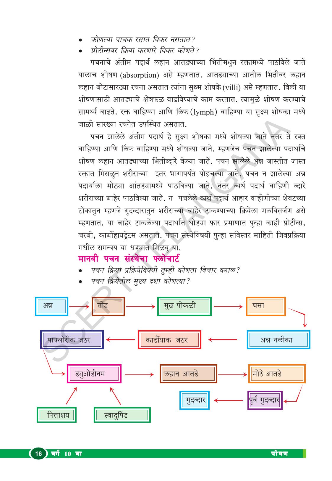 TS SCERT Class 10 Biological Science (Marathi Medium) Text Book - Page 28