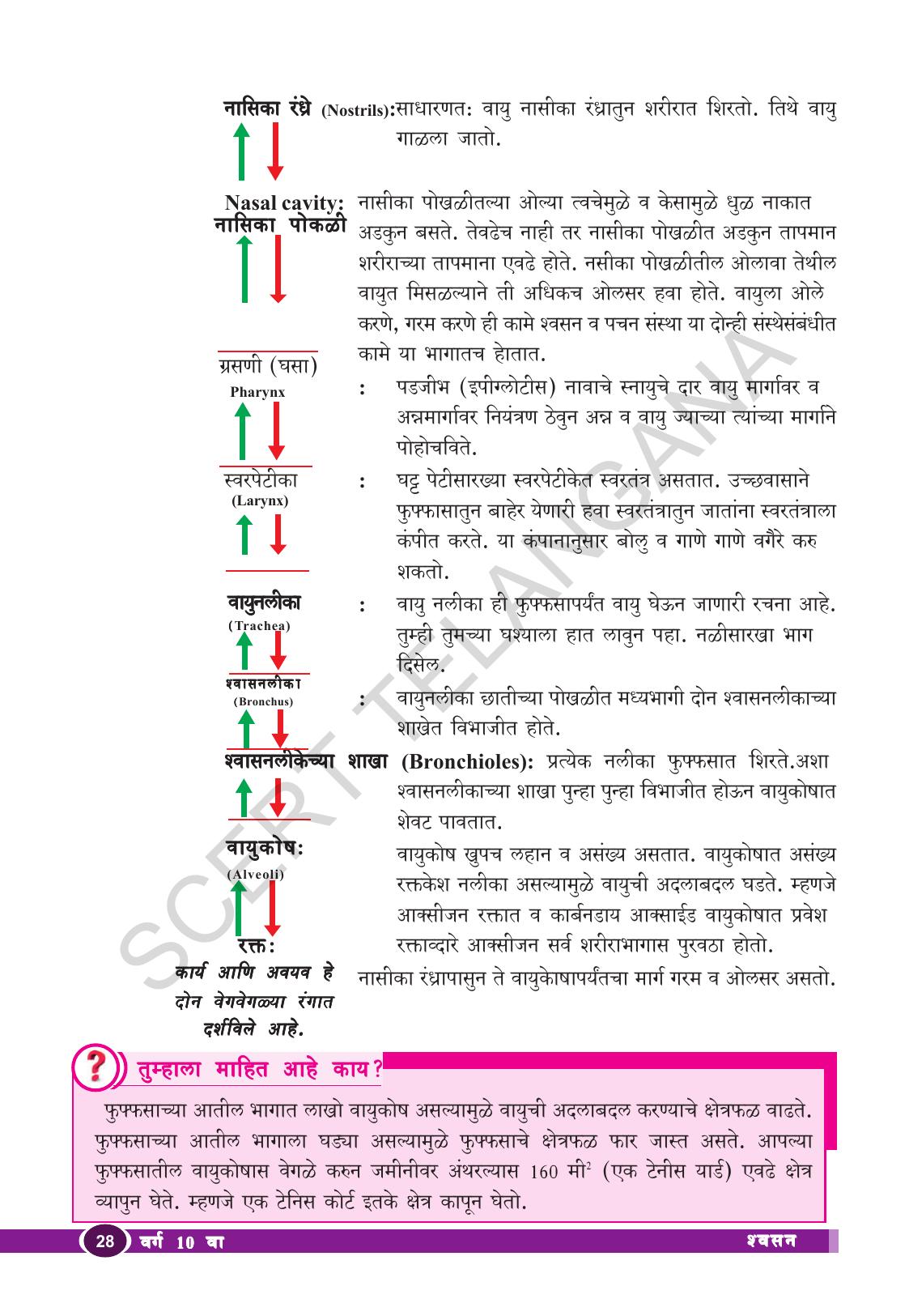 TS SCERT Class 10 Biological Science (Marathi Medium) Text Book - Page 40
