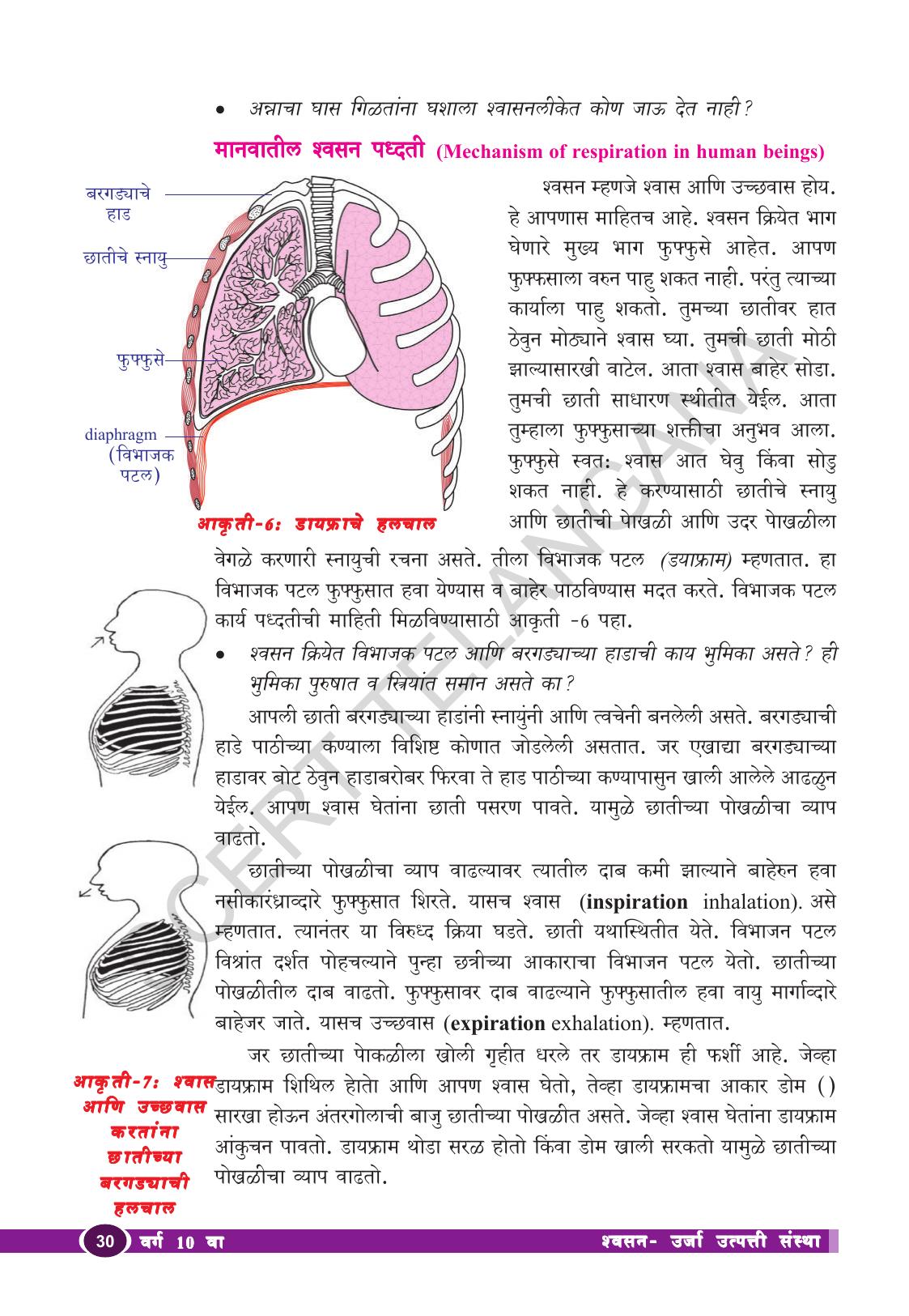 TS SCERT Class 10 Biological Science (Marathi Medium) Text Book - Page 42